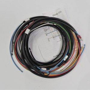 Elektroinstallation, main, without switch, Jawa 250 Perak